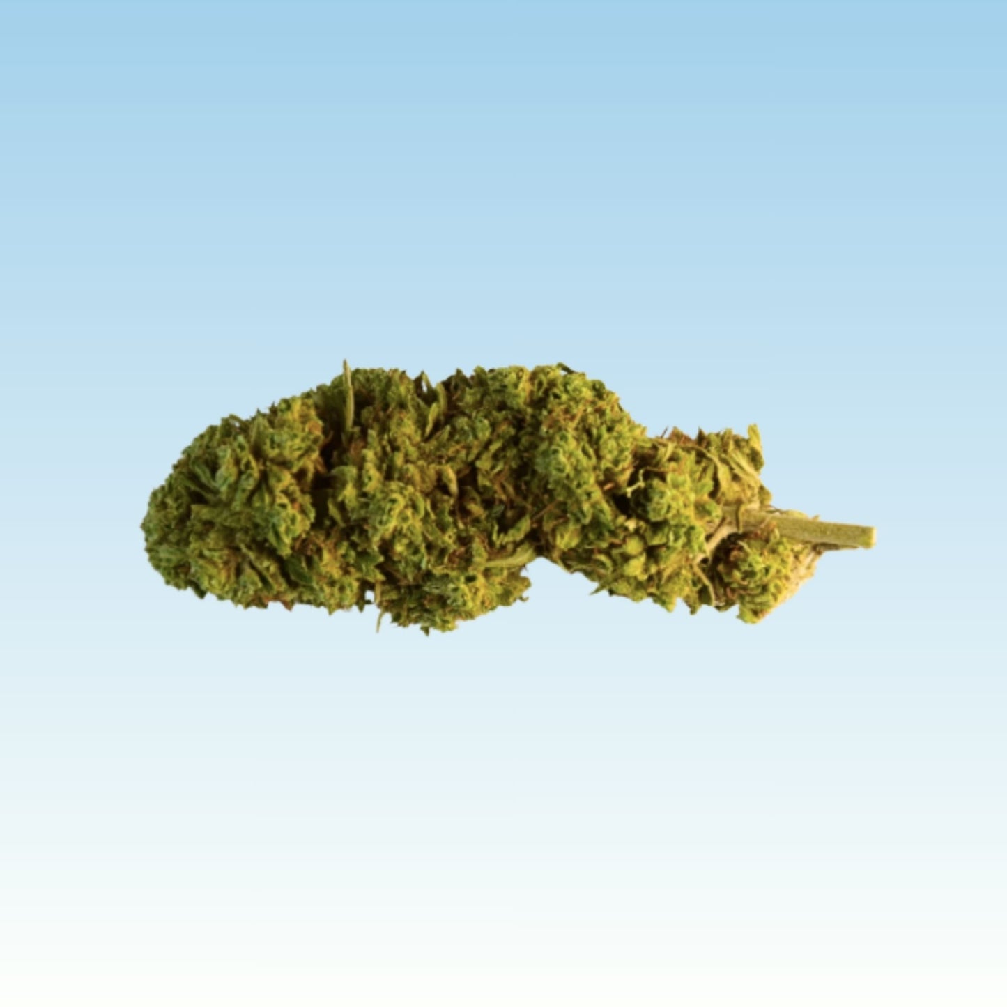 Kingston CBD Flowers