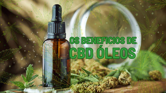 Os Benefícios do Óleo de CBD: Um Guia Completo para Humanos e Animais de Estimação