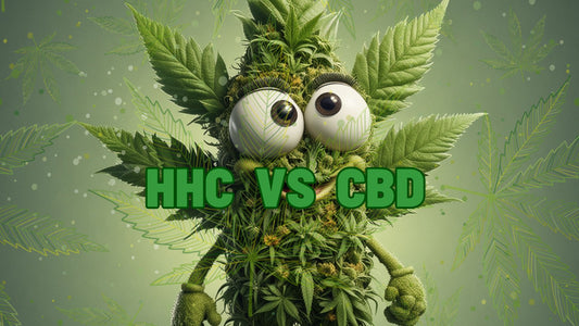 Cannabis Legal: HHC vs CBD