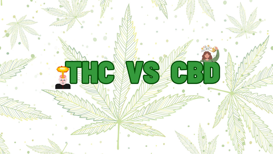 CBD vs. THC: Prós e Contras