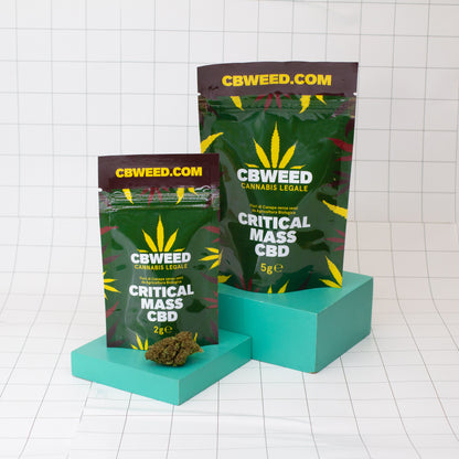 Flor CBD de qualidade superior “Critical Mass”